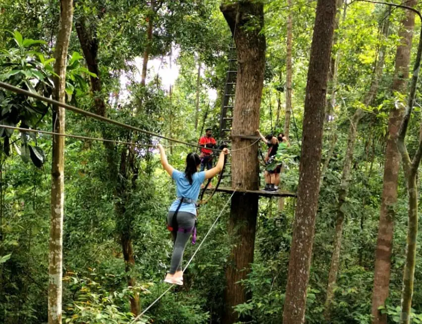 canopy challenge at skytrex adventure melaka is one of the top fun places to visit in melaka