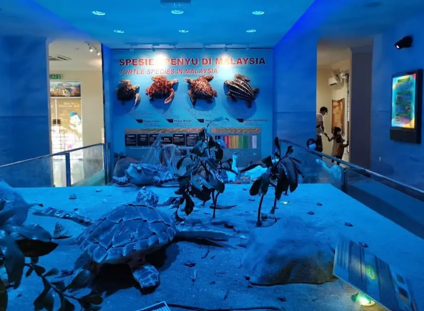 exhibit inside Turtle Conservation