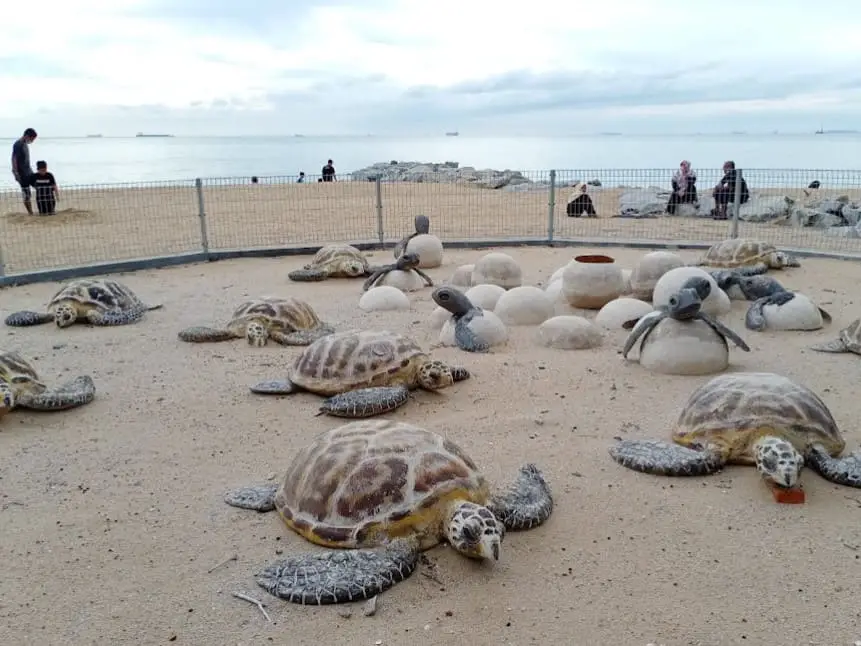 fake turtles by pengkalan balak beach melaka