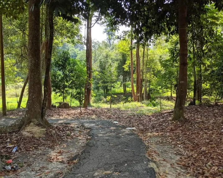 forest path in Hutan Rekreasi Sungai Udang