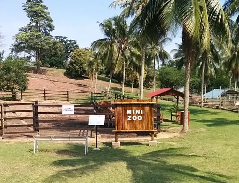 mini zoo inside Melaka Tropical Fruit Farm