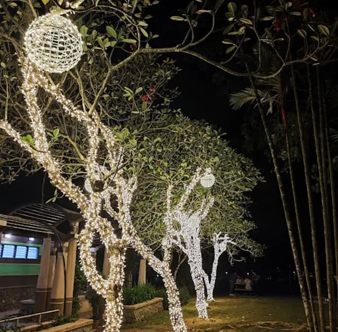Secret Garden Putrajaya led lights on tree