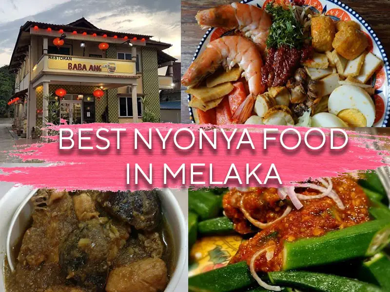 best melaka nyonya food