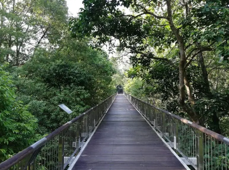 canopy walk at Taman Botani Putrajaya