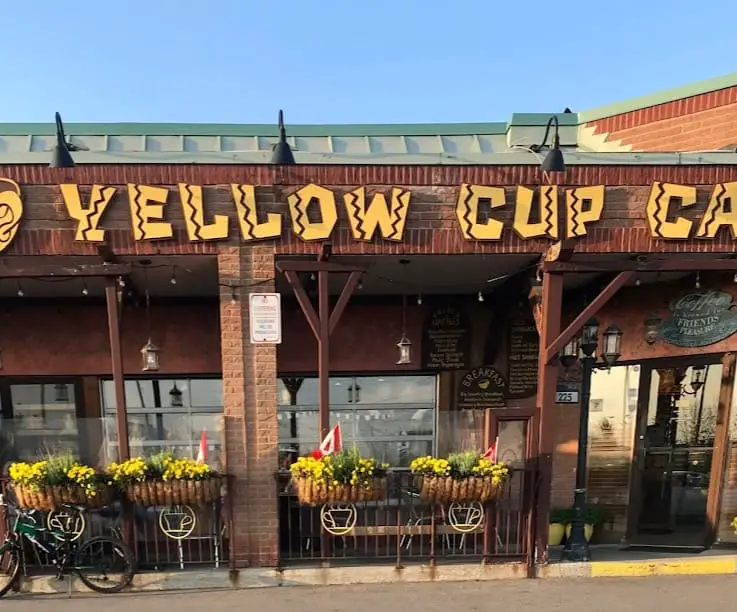 dog friendly cafe toronto yellow cup cafe