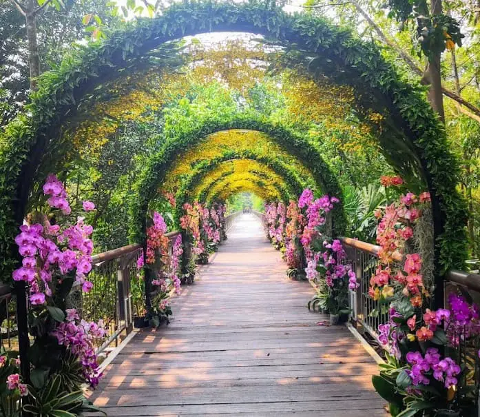 flower arc walk way at Taman Botani Putrajaya