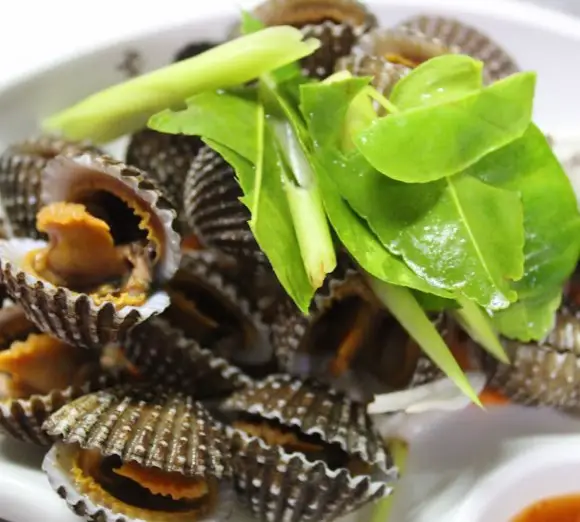 fresh clams from Frame Thai