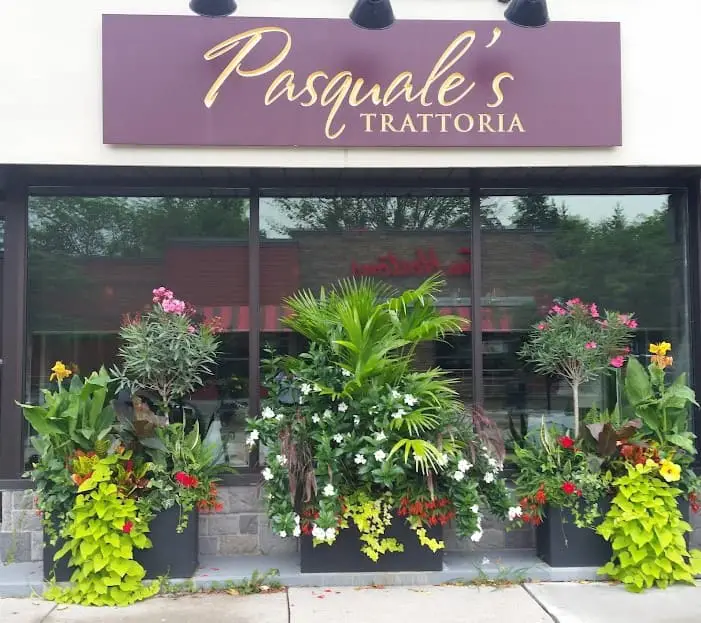 front store of Pasquale's Trattoria an italian restaurant in oakville