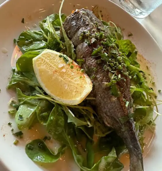 italian cooked fish with salad and lemon slice at CIMA Enoteca