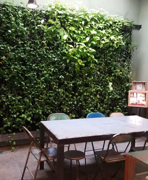 wall of green plants inside of Awesome Canteen