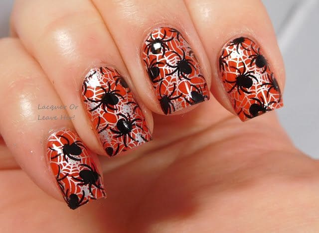 little spider nails