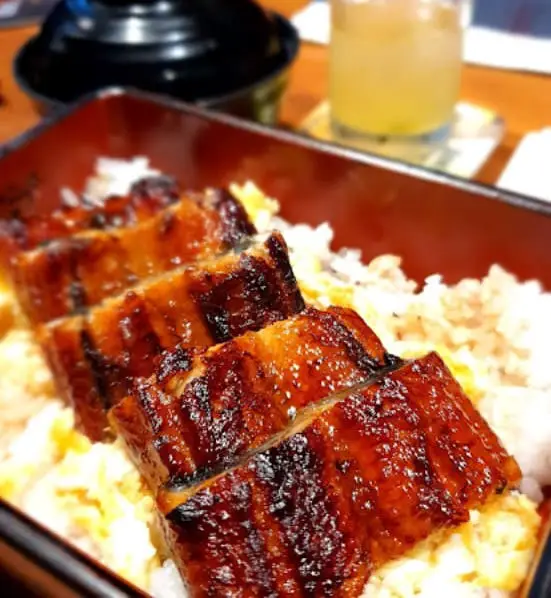 unagi eel meat bento served at TENMAYA