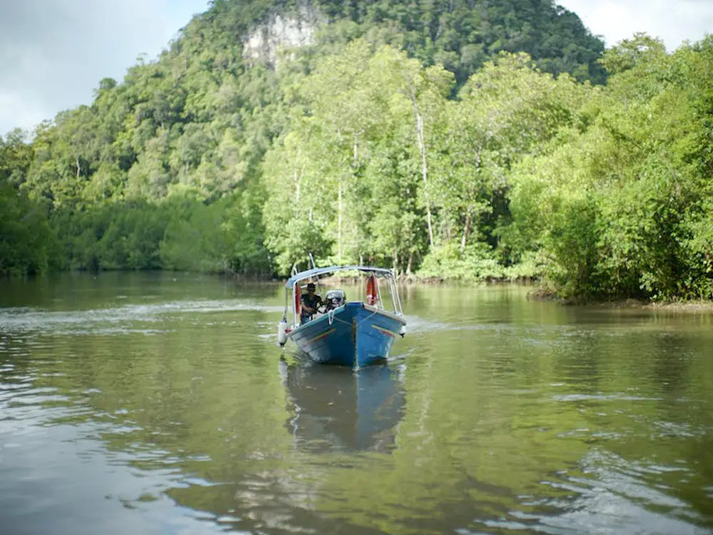 Does Langkawi Have Crocodiles